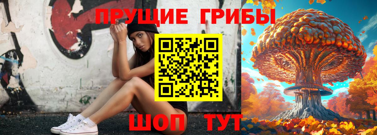 Псилоцибиновые грибы Psilocybine cubensis Нарткала